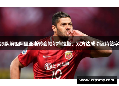 狼队前锋阿里亚斯转会帕尔梅拉斯，双方达成协议待签字